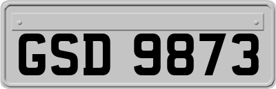 GSD9873