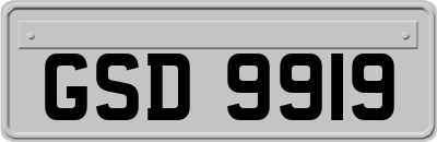 GSD9919