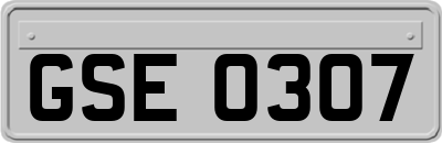GSE0307