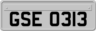 GSE0313