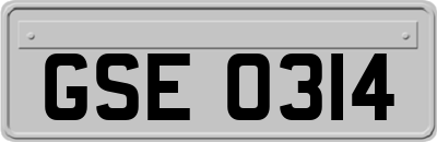 GSE0314