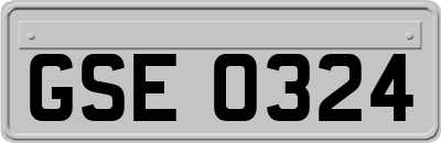 GSE0324