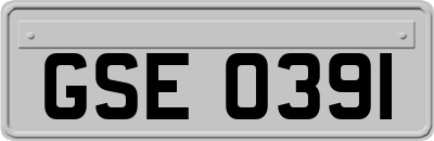 GSE0391