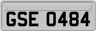 GSE0484