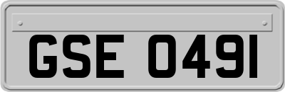 GSE0491