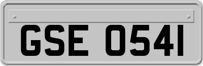 GSE0541