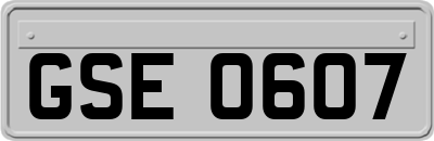 GSE0607