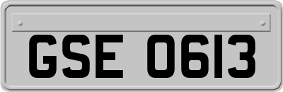 GSE0613