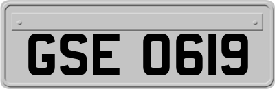 GSE0619