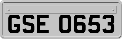 GSE0653