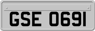 GSE0691