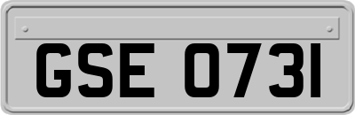 GSE0731