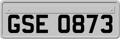 GSE0873