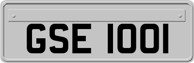 GSE1001