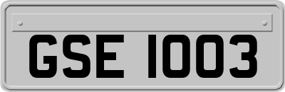 GSE1003