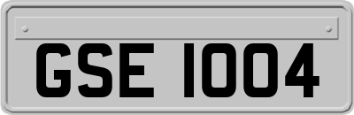 GSE1004