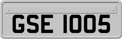 GSE1005