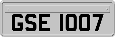 GSE1007