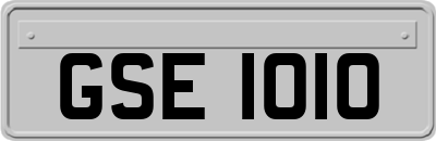 GSE1010