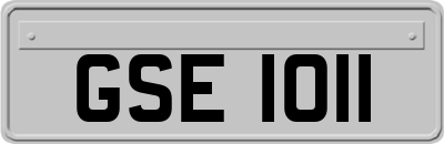 GSE1011