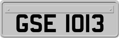 GSE1013