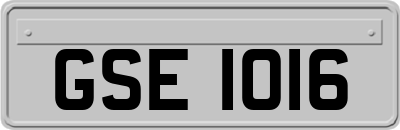 GSE1016