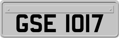 GSE1017