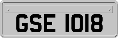 GSE1018