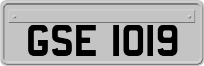 GSE1019