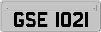 GSE1021