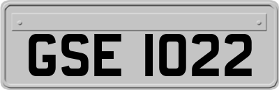 GSE1022