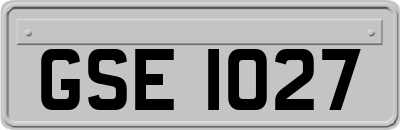 GSE1027