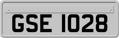 GSE1028