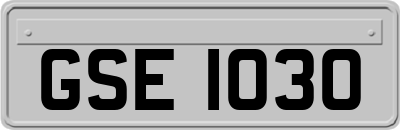 GSE1030