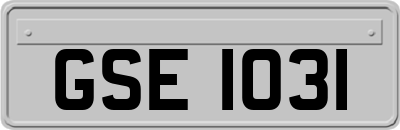 GSE1031