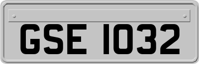 GSE1032