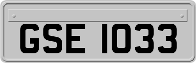 GSE1033