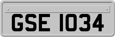 GSE1034