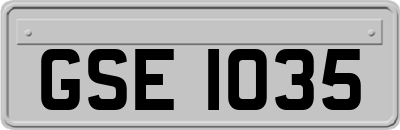 GSE1035
