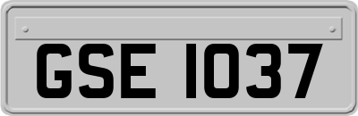 GSE1037