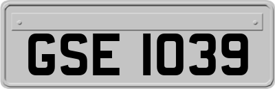 GSE1039