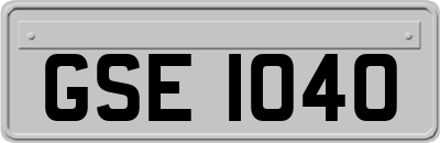 GSE1040