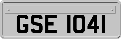 GSE1041