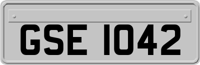GSE1042