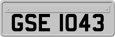 GSE1043