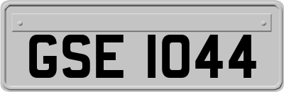 GSE1044