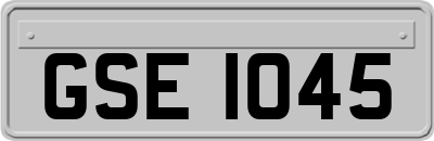 GSE1045