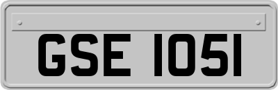 GSE1051