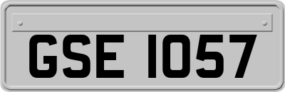 GSE1057