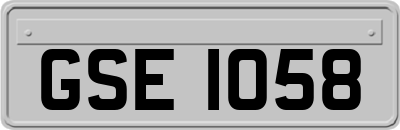 GSE1058